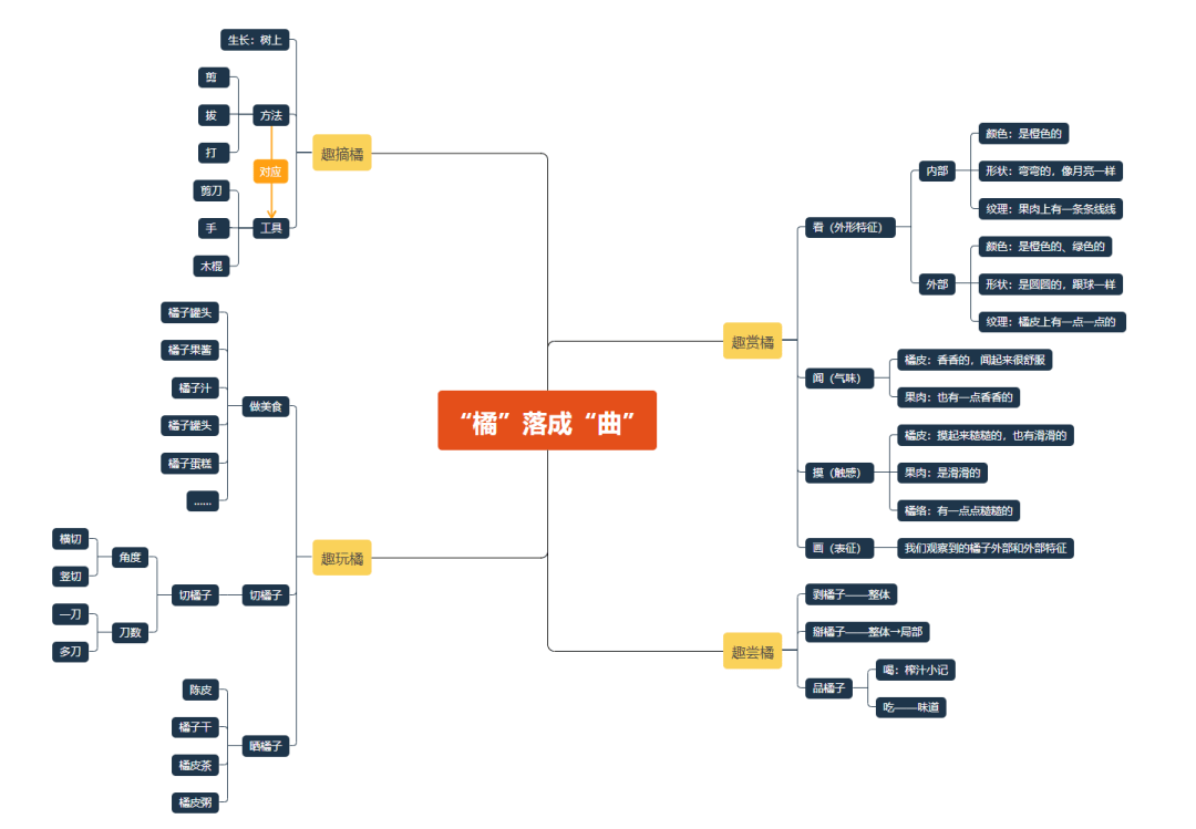 橘子主题课程网络图图片