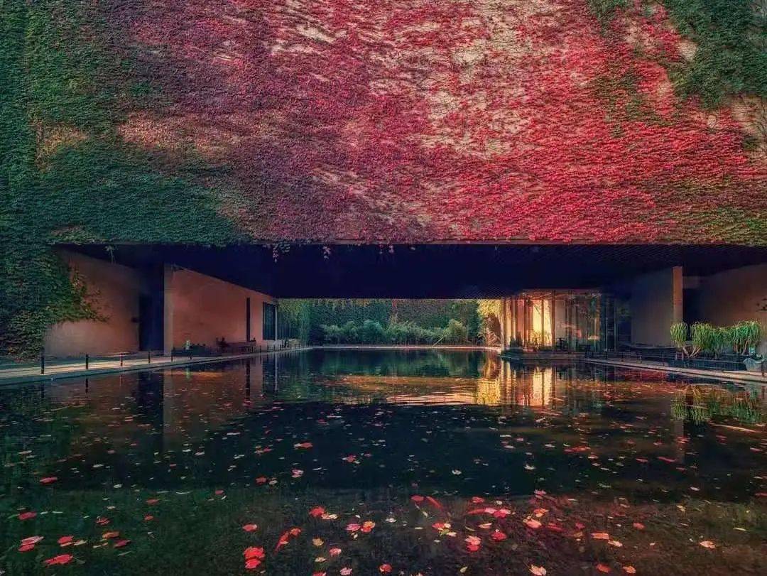 【答案】冯骥才文学艺术研究院↓点击空白处查看答案满阶红叶暮,绕池