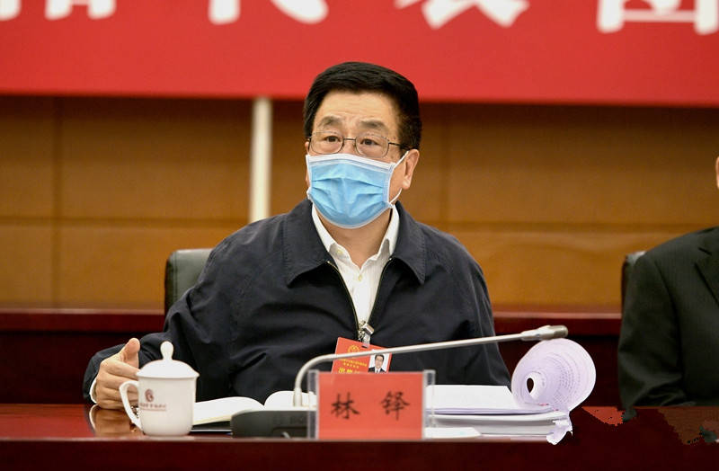 林铎在庆阳代表团参加审议《政府工作报告》_甘肃省