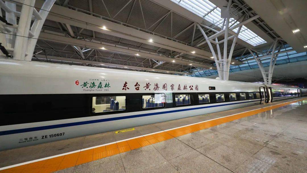 东台黄海国家森林公园号高铁来了