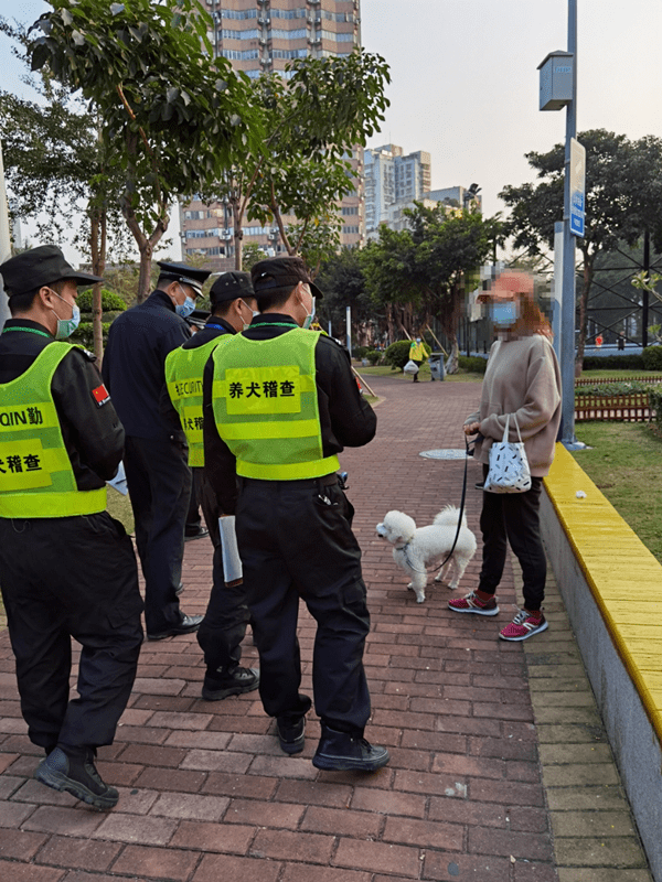 珠海首次開罰遛狗不規範將當場處罰記入個人違法記錄