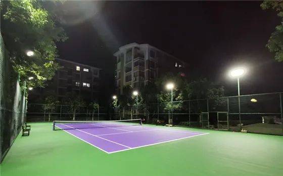 新增场馆浙江省台州市天台县天都花园柠檬网球俱乐部网球场