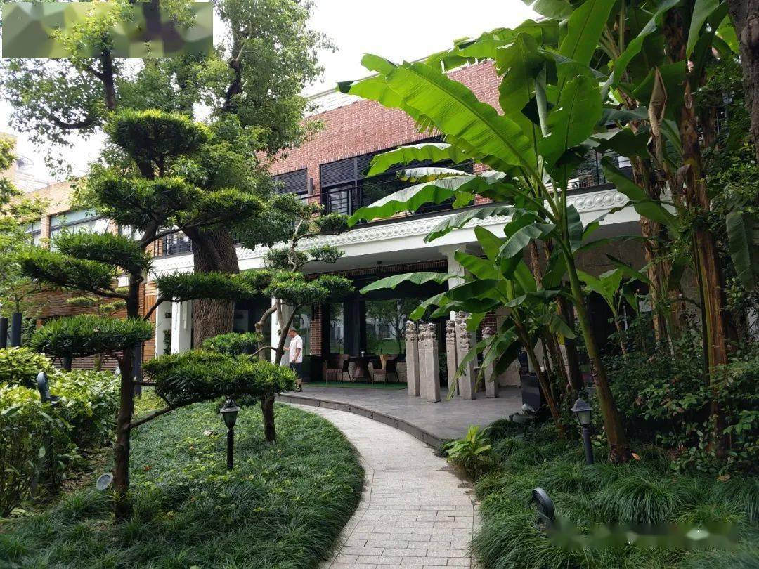 有声故事 | 云游上海,就为感谢"就地过年"的你!_锦江饭店