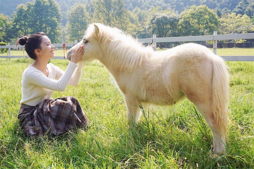 与白马王子互动路人皆言君未远,骑马少年清且婉每一匹都膘肥体壮专业