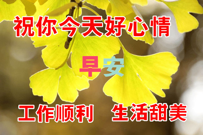 f0762488bb974c5ea58a964c1a5e6ac3.png