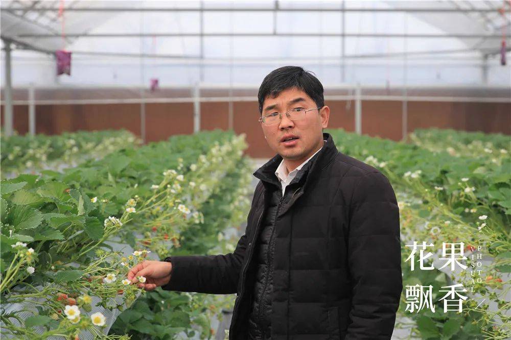 刘博士的新目标:奋斗十年,回去种地_刘东华