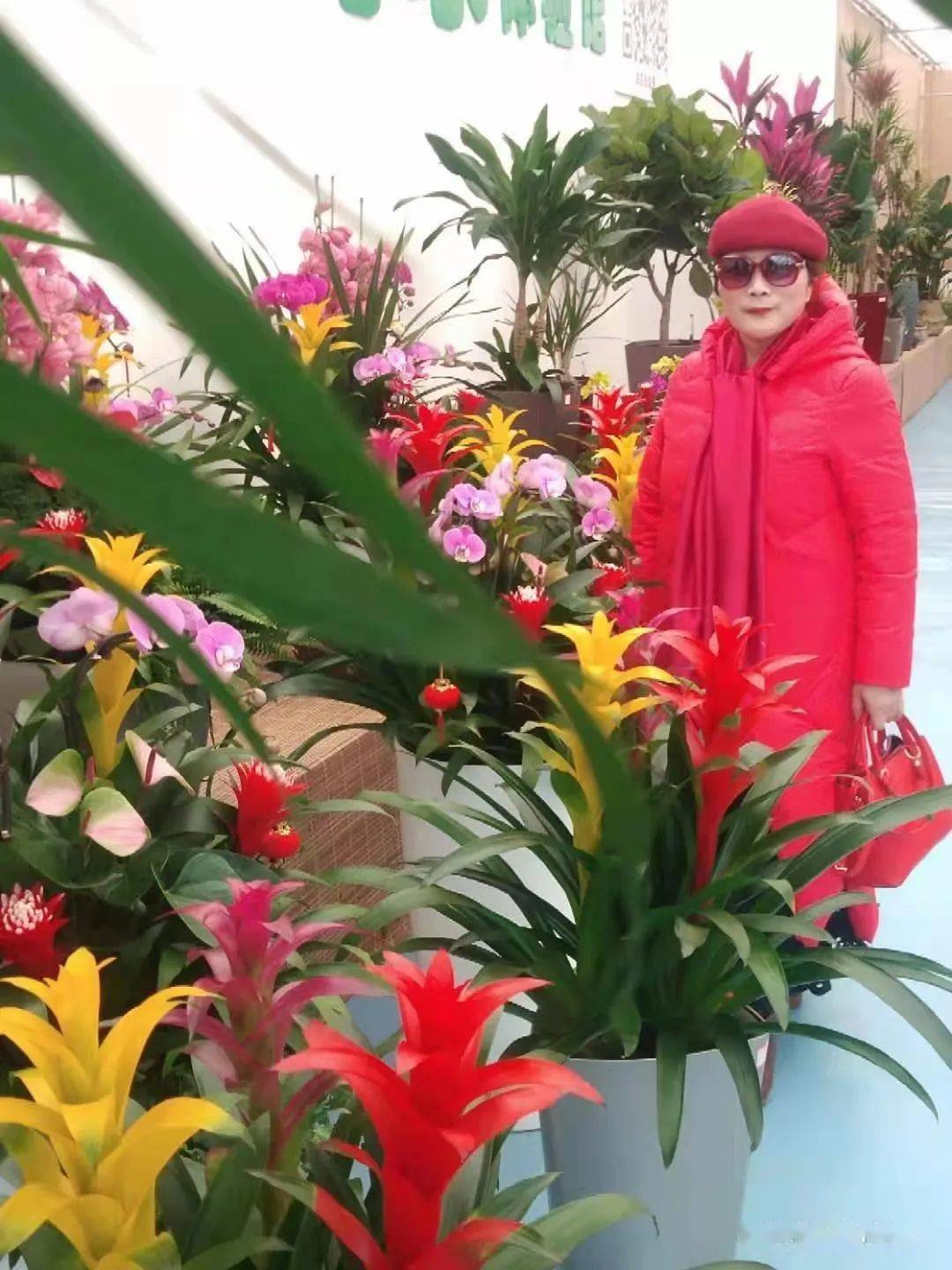 女人如花芬芳岁月