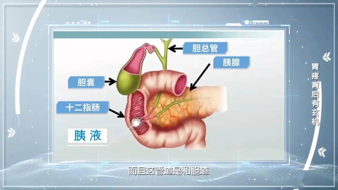 以为是胃病