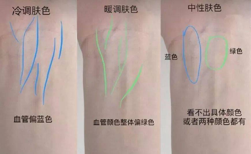 想要判断自己的肤色,初步可以用血管法来判断肤色.