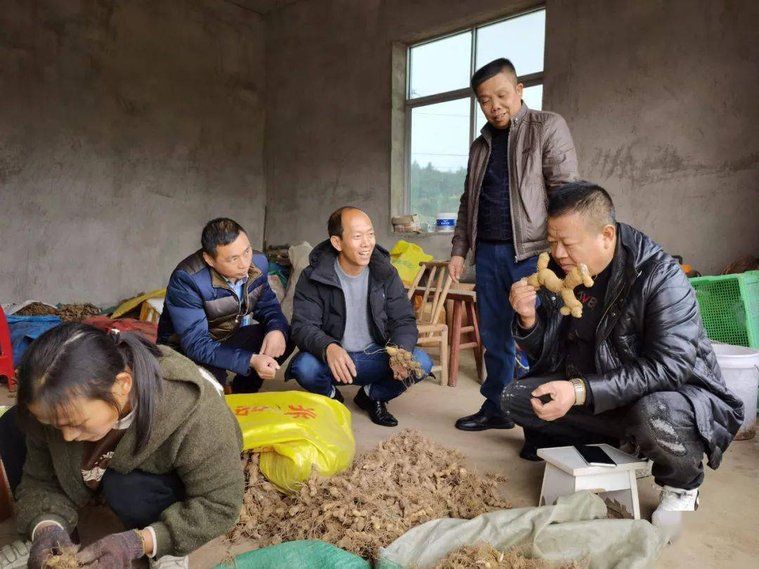 我国林下经济规模总量_林下经济