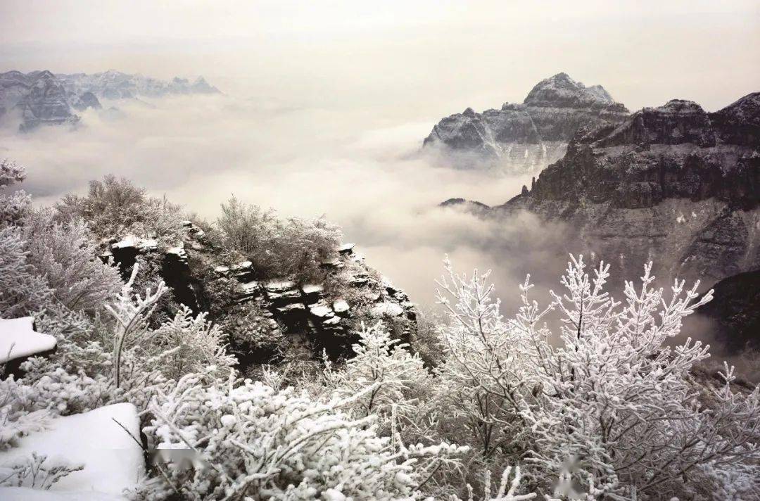 王莽嶺景區王莽嶺景區面對疫情 不必恐慌一組圖告訴你陵川雪景有多