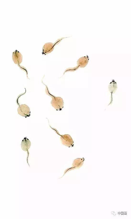 蛙声十里出山泉,青蛙与蝌蚪的写意画法_步骤