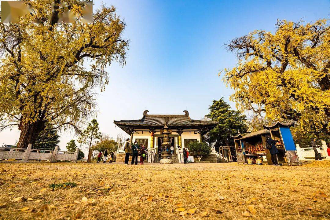 美了1500年南京藏了一處絕美勝地