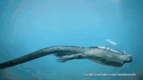 480_270gif 动态图 动图