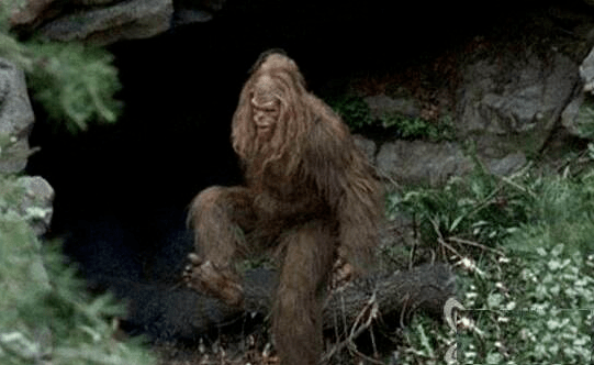 盘点世界5大不明生物，个个神秘，第3种已被人确定真实存在