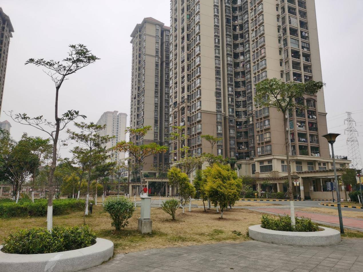 管理民主服务完善环境优美瑞东花园社区的美你感受到吗寻找广州市最美