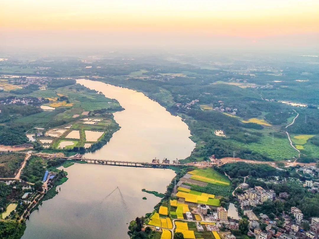 彭镇强 摄诱鹭鸟掠水江河风景这边独好吸引了鹭鸟前来栖息这背后离不