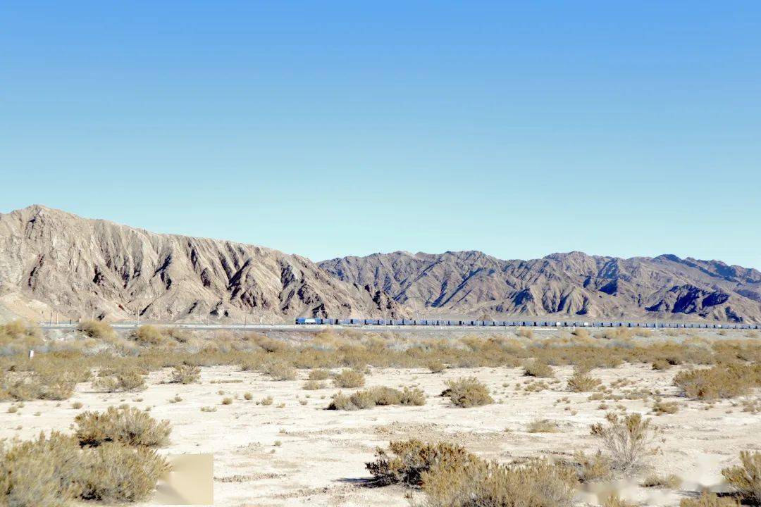 敦煌万亩防护林遭砍微博热搜的背后到底揭示了什么生态环境亟待关注