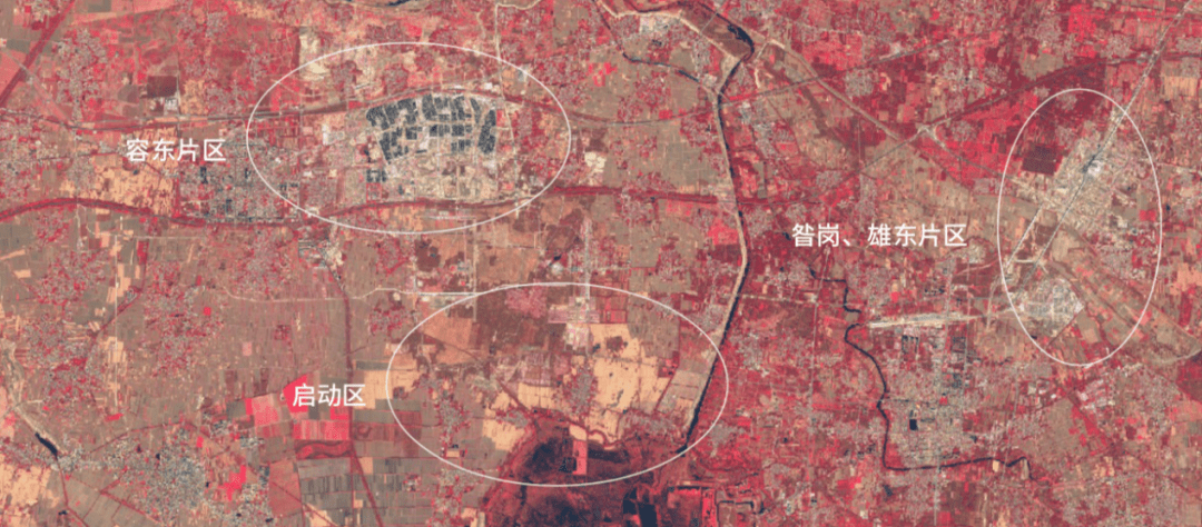 建设|大数据看雄安：去年11月青年常住人口同比增长37.35%