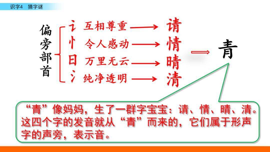 ①小草喜欢春风 ②害虫最怕青蛙5.