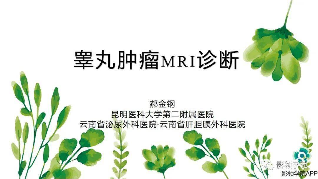 睪丸腫瘤mri診斷