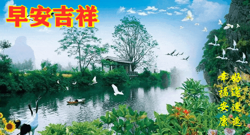 800_434gif 动态图 动图