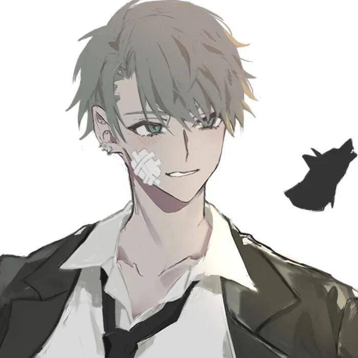 静谧安详且有着热血沸腾的少年梦想插画头像