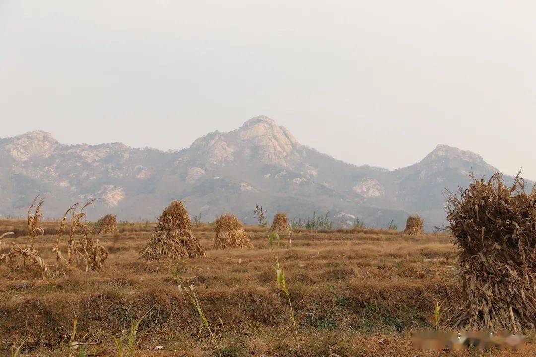 如今,随着莒县中楼镇划归日照市岚山区,这里也算是莒南县和岚山区之间