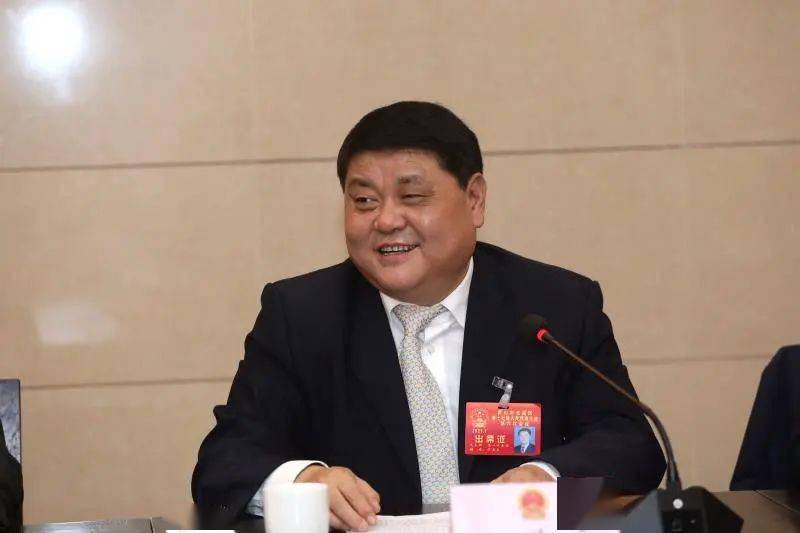 聚焦两会江善良杨林分别参加人大代表分团审议