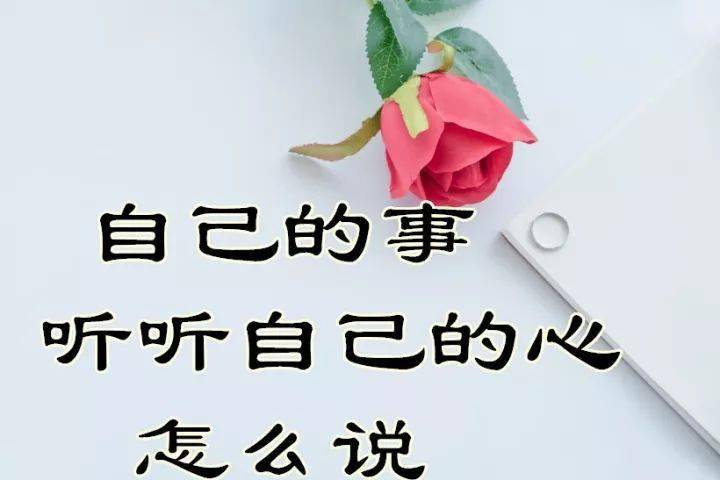 梨花飞情人泪动态曲谱视频_梨花飞情人泪图片(2)