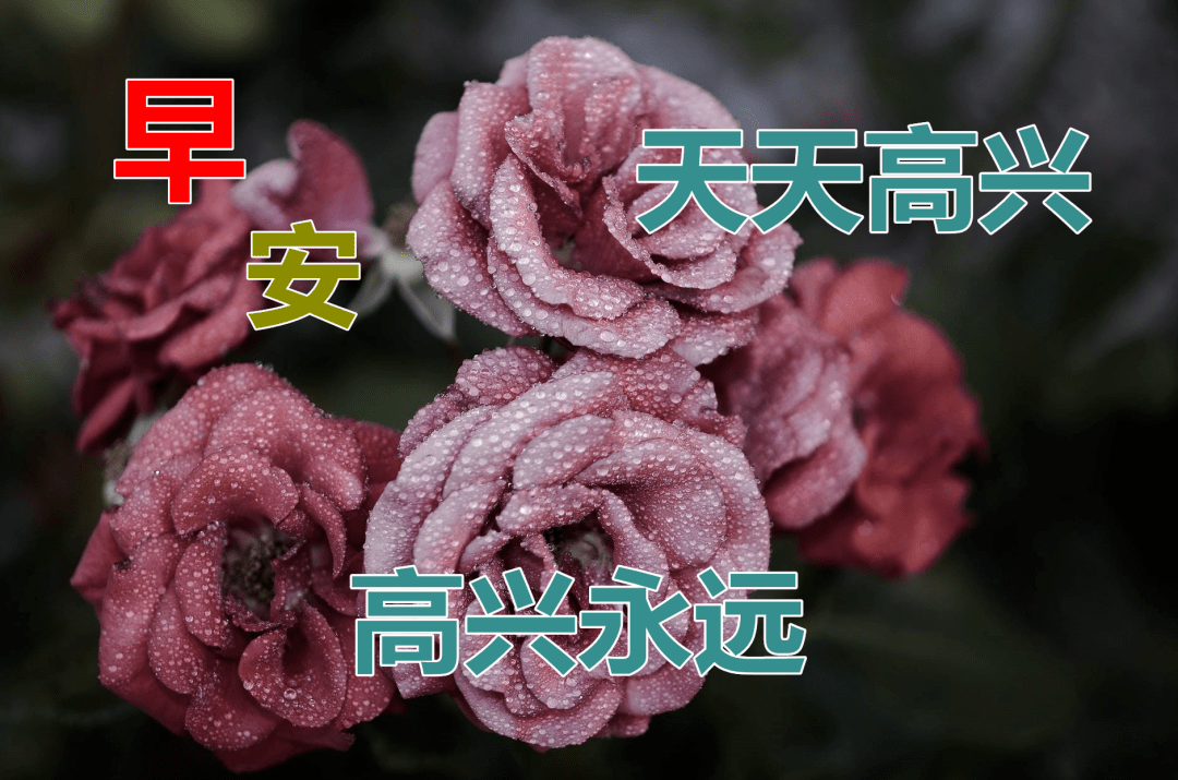 1月31日，最漂亮早上好动态表情图片大全，早晨好美图大全 搜狐大视野 搜狐新闻