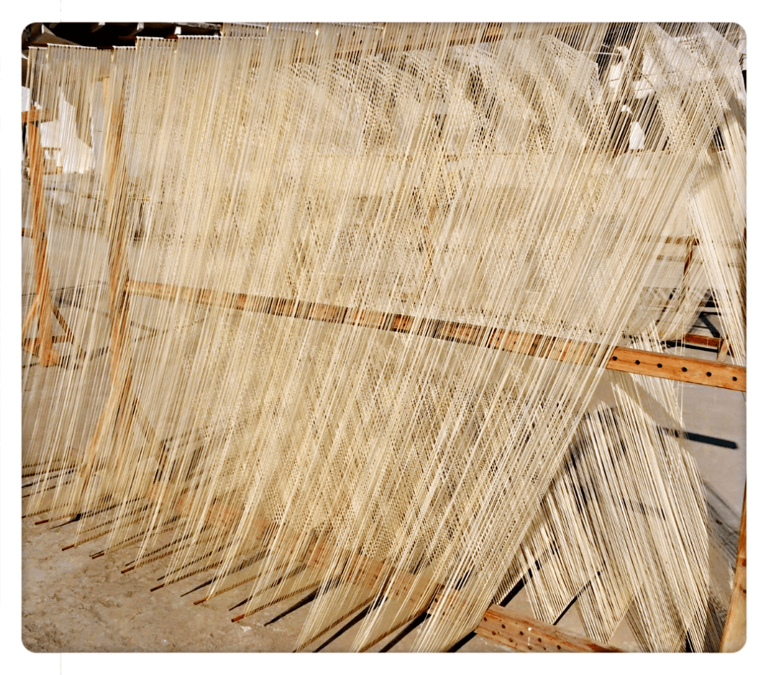 能像绳索一样整束整束盘绕于谷篓容器里而不易断,故称它为"索面"