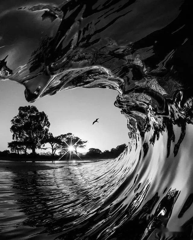 别有意境的黑白风景