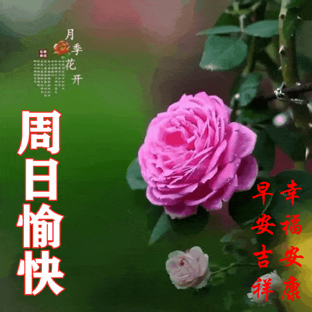 20216116131星期天早安30心语