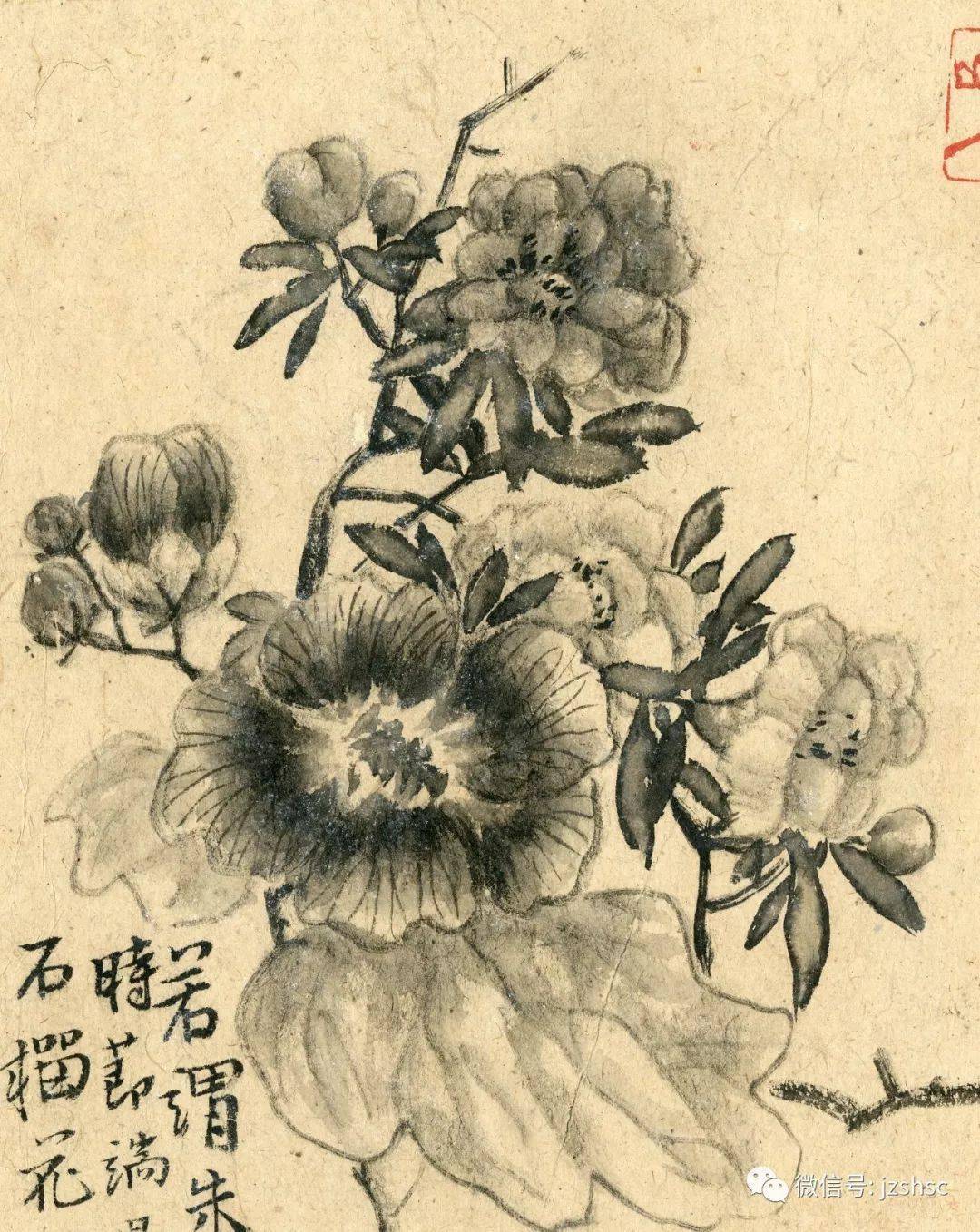 每日一画扬州八怪之一李鳝原裱花鸟册页高清版