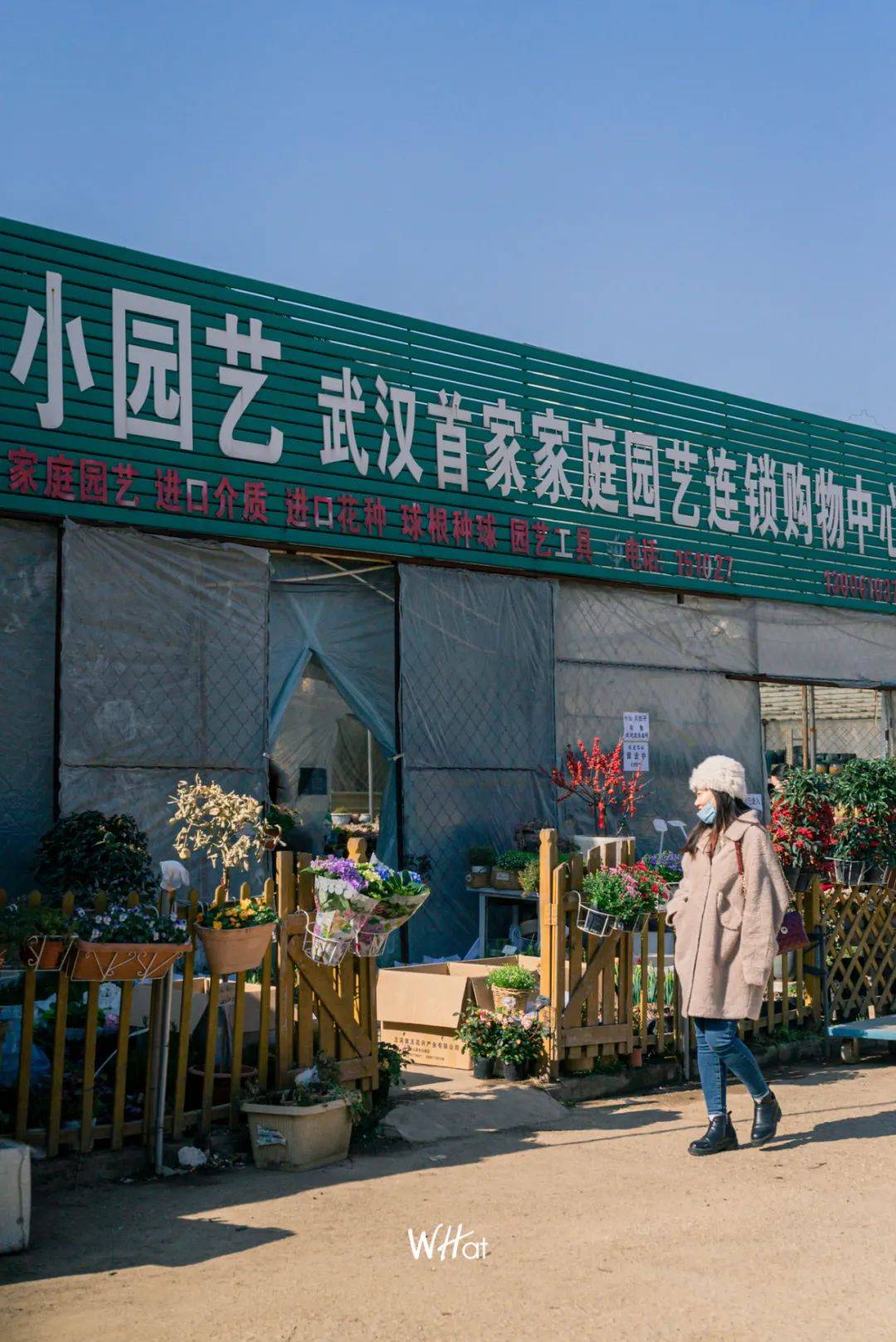 武汉花市新年上新