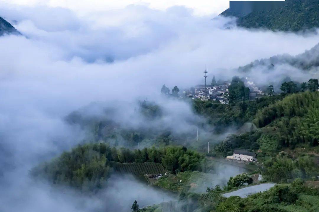 松陽四都氣象景觀預報15期