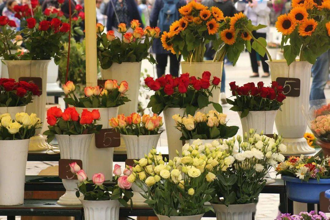 尤其今年的情人节与春节撞期,双节连至对于鲜花市场来说既是机遇也是