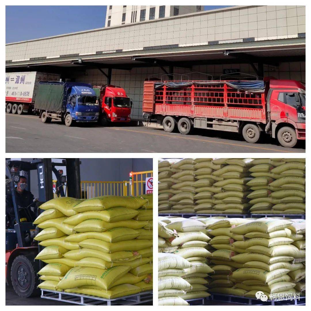 【柯恩·动态】未来可期!柯百微周产量超上月产量_手机搜狐网