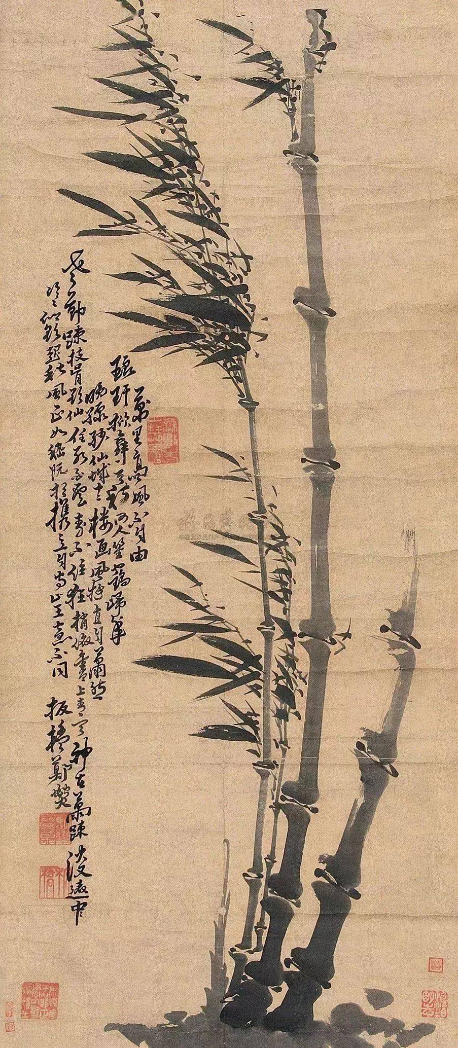 风竹