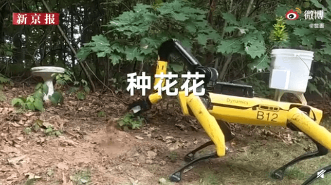 波士顿动力机器狗会跳绳了（图）