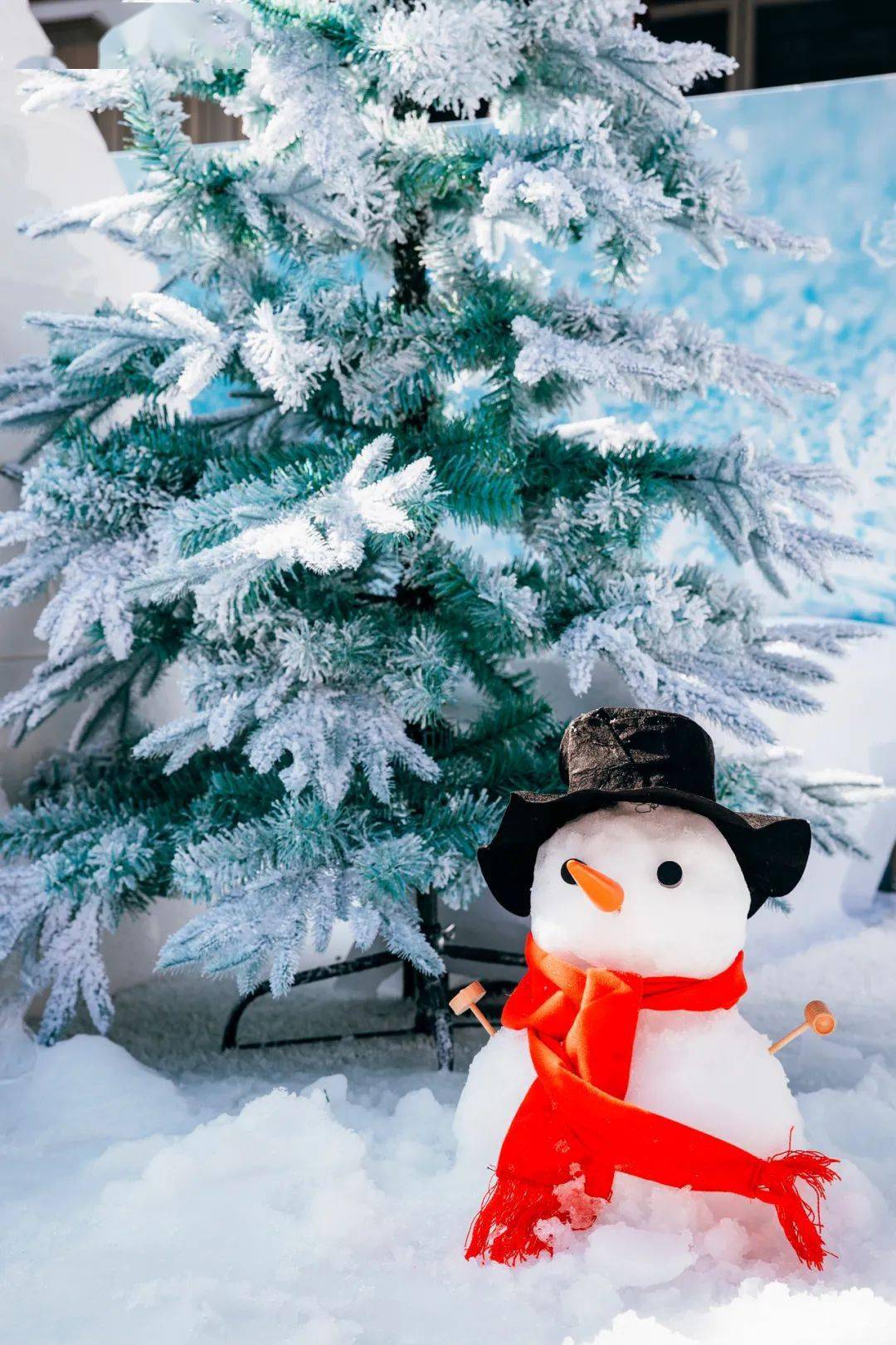 火爆全城2021深圳第一场雪打雪仗堆雪人春节遛娃首选