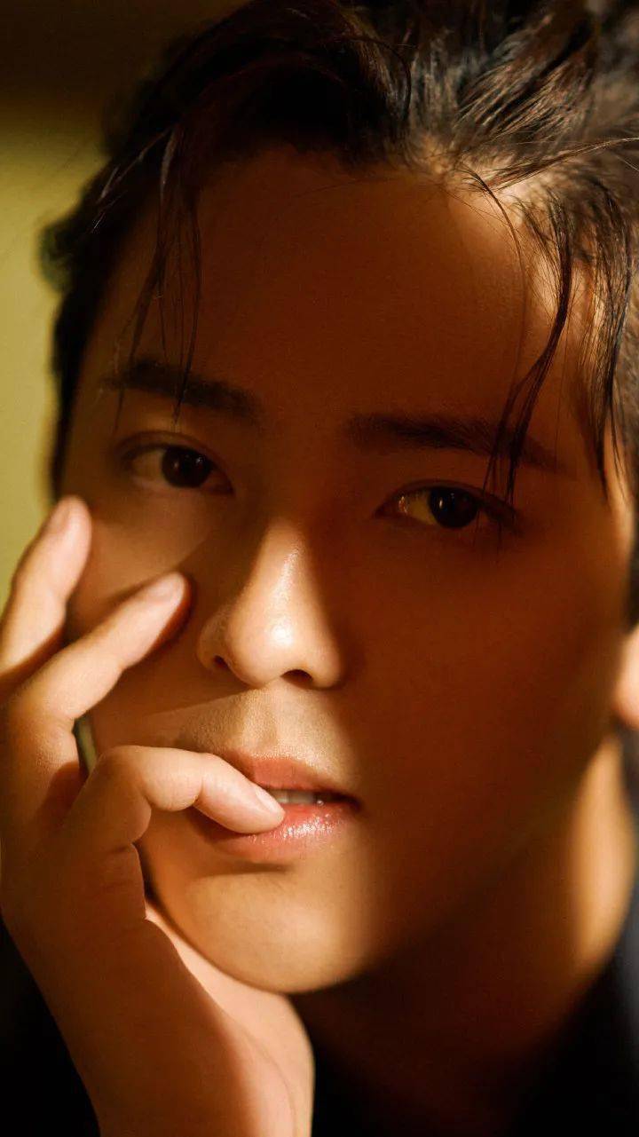 手机壁纸符龙飞