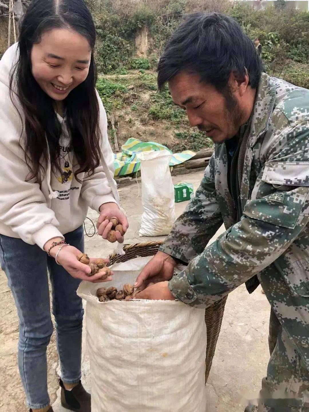 徽县春梅核桃火了梁掌柜在热卖