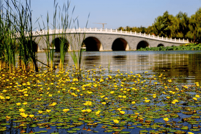 北京今年计划恢复建设湿地1000公顷