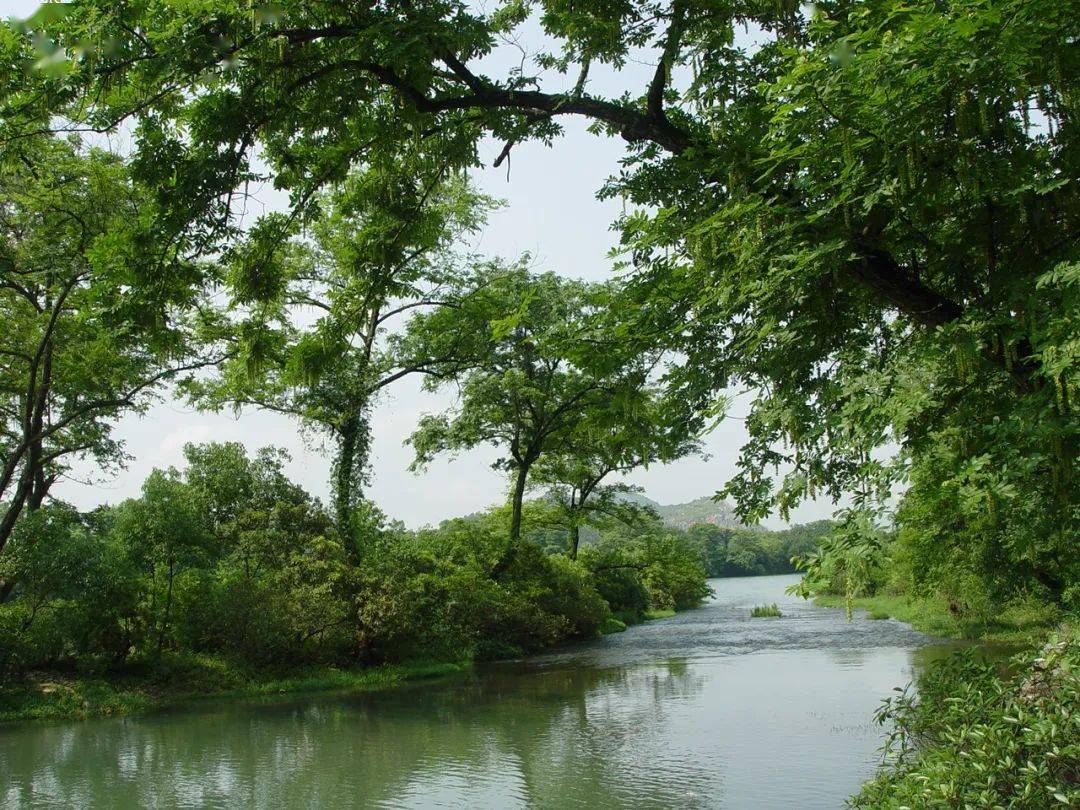 湖南洞口平溪江国家湿地公园湖南衡南莲湖湾国家湿地公园湖南花垣古苗