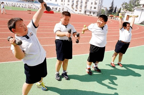儿童肥胖的原因可能不是运动量减少而是饮食结构改变thejournalof