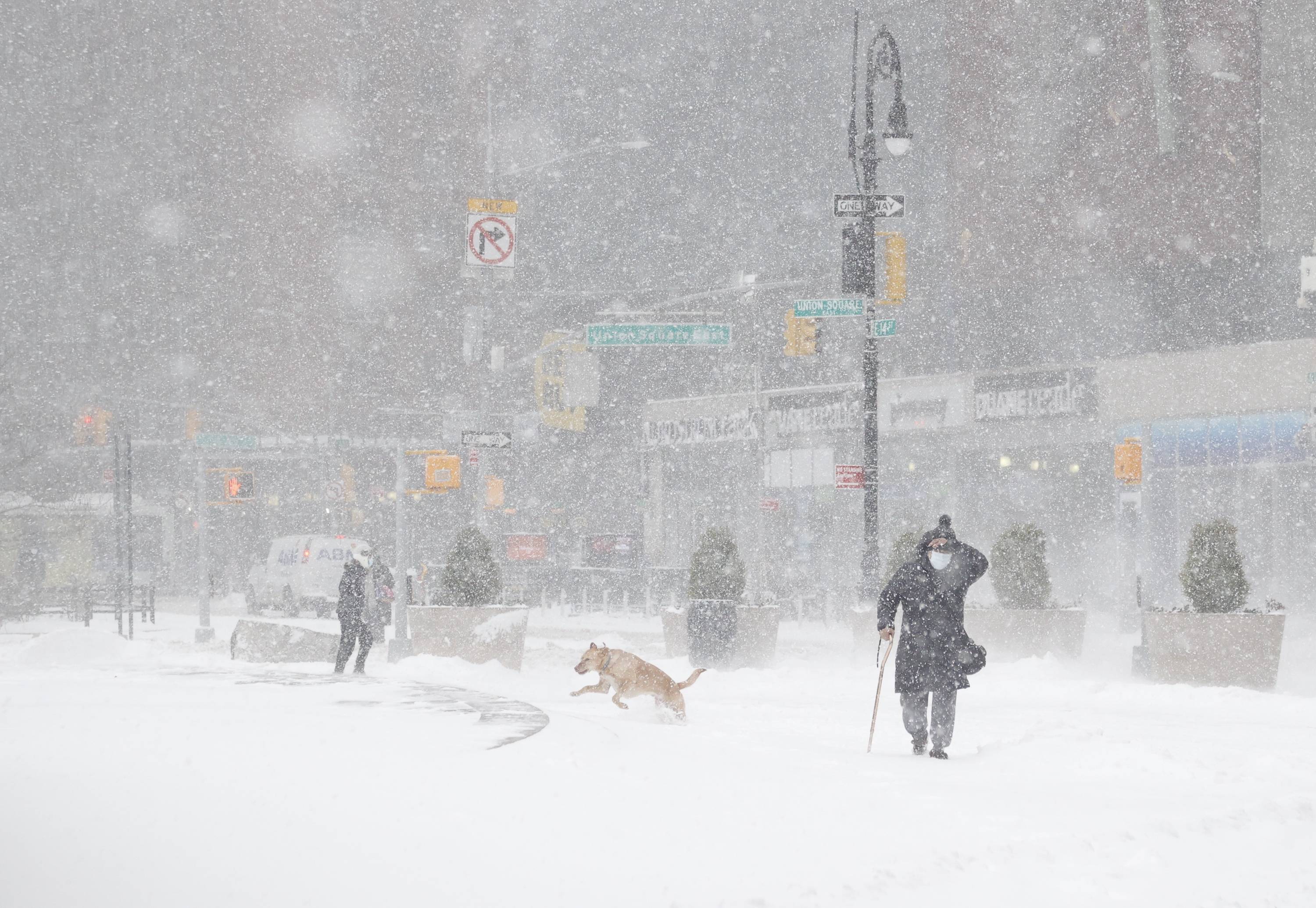 纽约遭遇暴风雪
