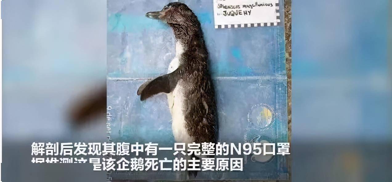 地球人口罩_哈哈地球人图片