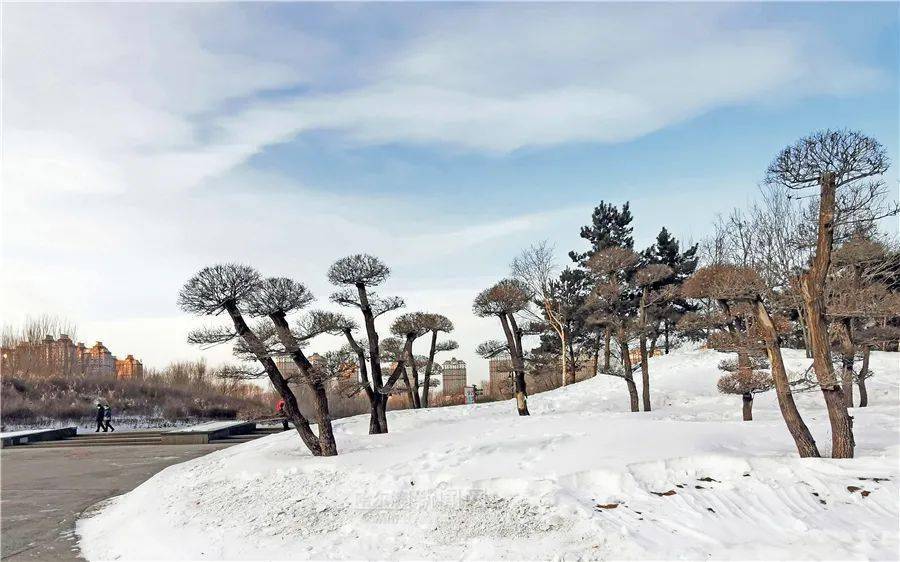 陈悦 "手机记者":卖炭翁 晨曦 傅强 苟智才 西门剑客 雪之韵 桦树眼